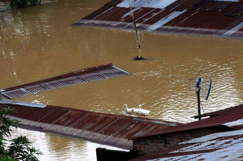Banjir Medan : Air yang Tak Pernah Pergi dari Kota Para Ketua