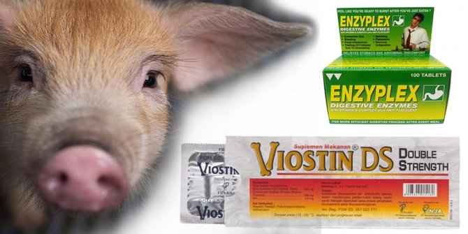 BPOM Ungkap Suplemen Viostin DS & Enzyplex Mengandung DNA babi