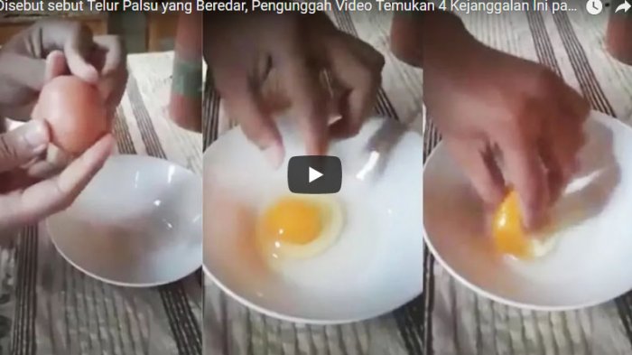 Heboh Telur Palsu, Setelah Dicek Ternyata Telur Asli dengan Kualitas Bagus