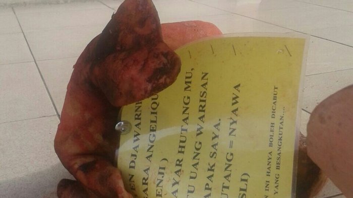Heboh Teror KEPALA BABI, Ini Pesan Tertulis yang Disampaikan Peneror