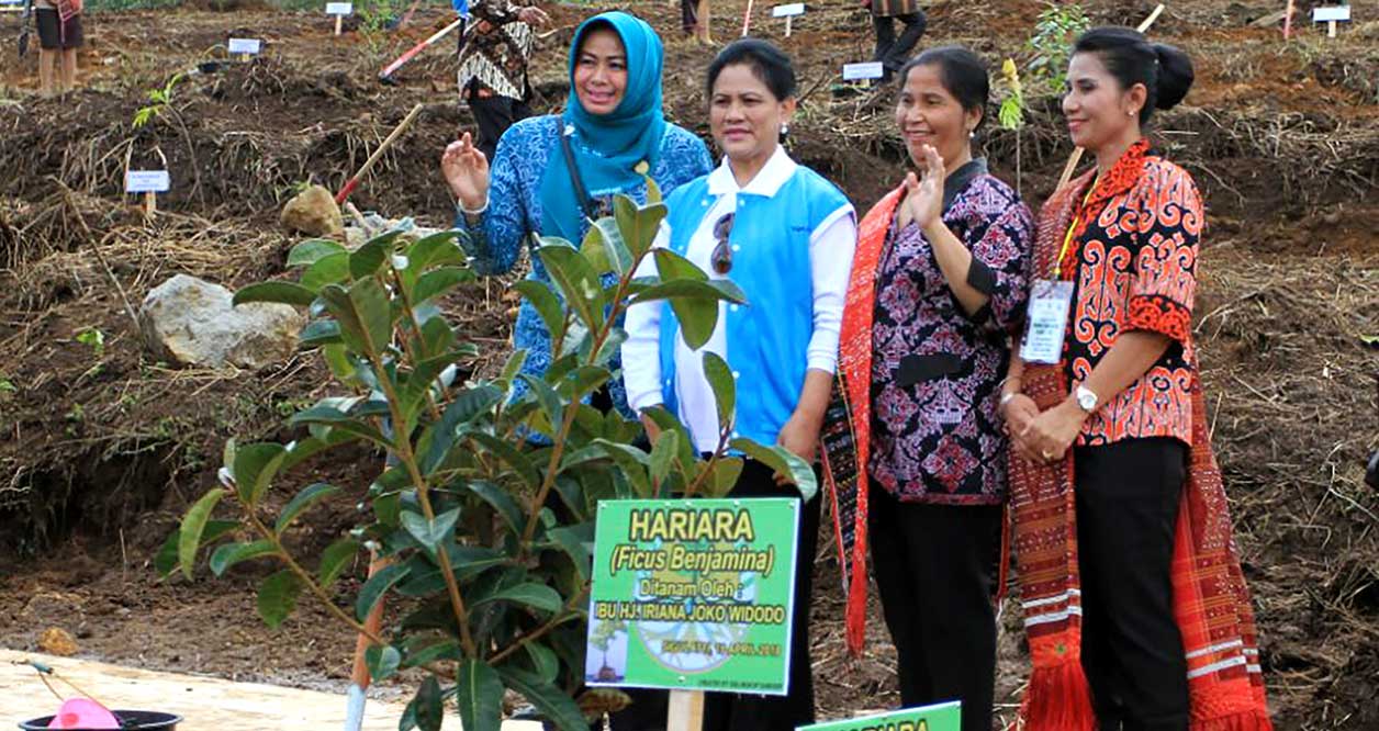 Ibu Negara IRIANA JOKOWI Tanam Pohon di Geopark Kaldera Toba