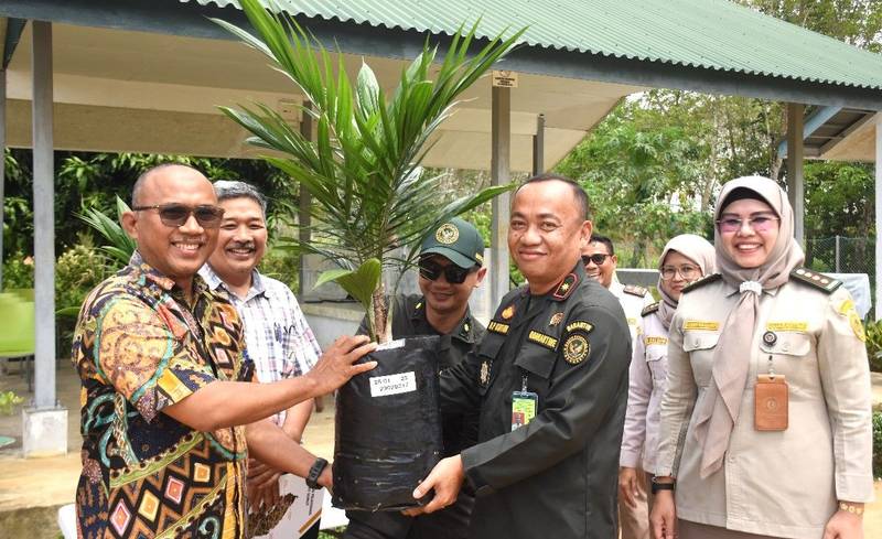Karantina Sumut Merilis 4.921 Bibit Sawit Asal Papua Nugini untuk Dikembangbiakkan di Desa Timbang Deli