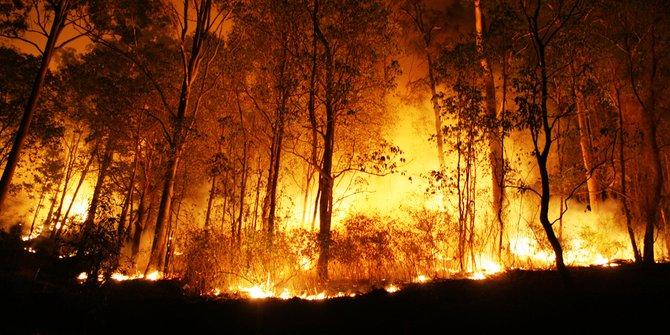Meski Sudah Dibantu Hujan, Kebakaran Hutan di Tobasa Belum Padam