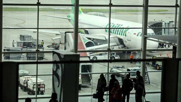 Pesawat Citilink yang Parkir di Kualanamu Diserang Ribuan Lebah