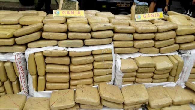 Setelah di Pancurbatu, Kini Ditemukan 209 Kg Ganja di Pinggir Jalan