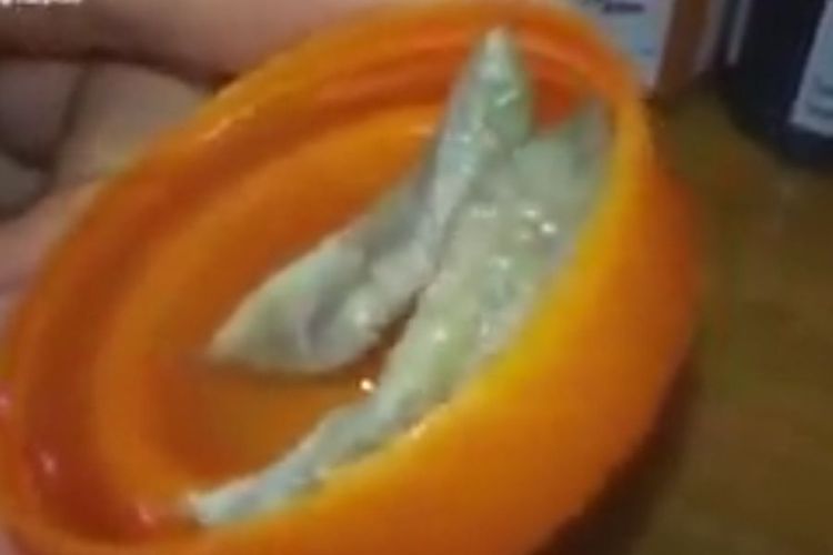 Wanita Ini Bikin Liontin dari Potongan Kulit Bibir Kemaluan-nya