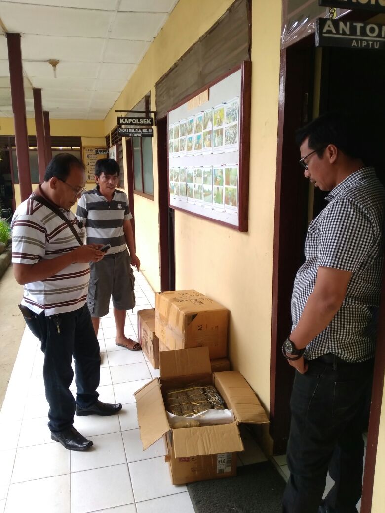 Warga Temukan 80 Kg Ganja Tak Bertuan Tempat Pembuangan Sampah